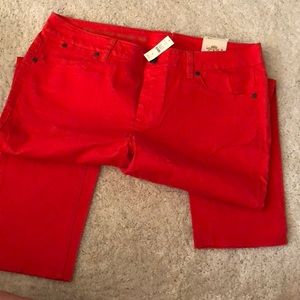 Talbots Jeans